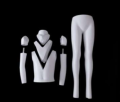 GM31a.png