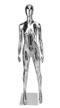 PS06a.png